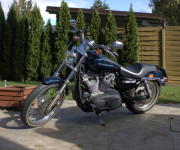 Harley Davidson XL / Sportster 883 C