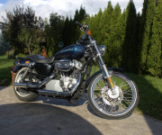 Harley Davidson XL / Sportster 883 C