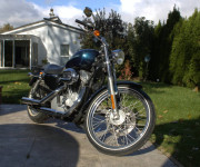 Harley Davidson XL / Sportster 883 C