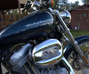 Harley Davidson XL / Sportster 883 C