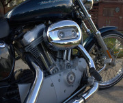 Harley Davidson XL / Sportster 883 C