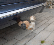 Volvo XC60 2.0 B5 mHEV Inscription AWD A/T