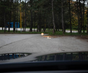 BMW Rad 5 530d xDrive A/T