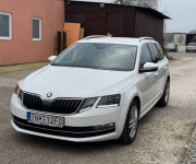 Škoda Octavia Combi 2.0 TDI Style DSG EU6