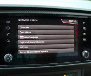 Cupra Ateca 2.0 TSI 4Drive DSG