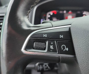 Seat Tarraco 2.0 TDI 190 Xcellence 4Drive DSG
