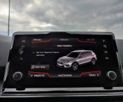 Seat Tarraco 2.0 TDI 190 Xcellence 4Drive DSG