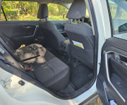 Toyota RAV4 2.0 benzin, 1.majitel,SR