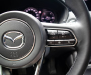 Mazda CX-60 3.3 e-Skyactiv D254 mHEV Homura AWD A/T