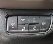 Hyundai Santa Fe 2.2 CRDi Premium 4x4 A/T