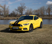 Ford Mustang 5.0 Ti-VCT V8 GT A/T