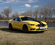 Ford Mustang 5.0 Ti-VCT V8 GT A/T