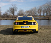 Ford Mustang 5.0 Ti-VCT V8 GT A/T