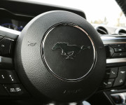Ford Mustang 5.0 V8 330kW Fifty Years Edition