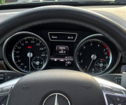 Mercedes-Benz GL GL450 4matic V8, 7miestne