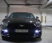 Ford Mustang 5.0 Ti-VCT V8 GT