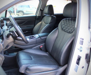 Hyundai Santa Fe Premium 2.2 CRDi 142 kW 4x4
