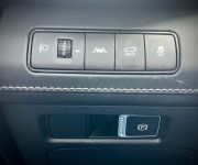 Hyundai Santa Fe Premium 2.2 CRDi 142 kW 4x4