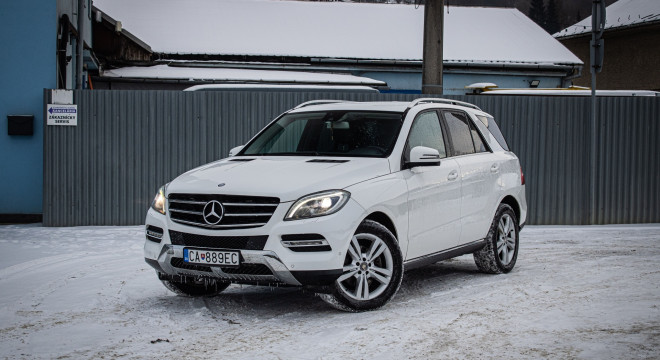 Mercedes Benz 250 BLUETEC 4MATIC, ILS, Navi, Bez vzduchu