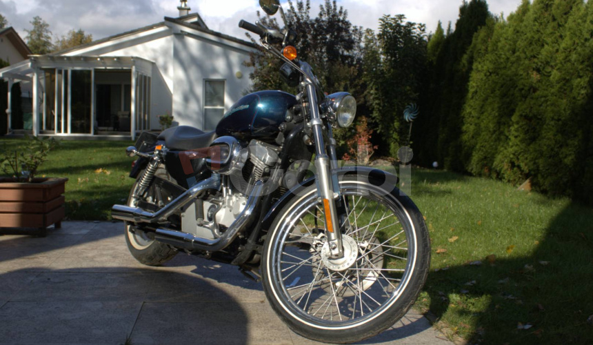 Harley Davidson XL / Sportster 883 C