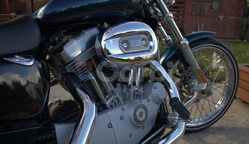 Harley Davidson XL / Sportster 883 C