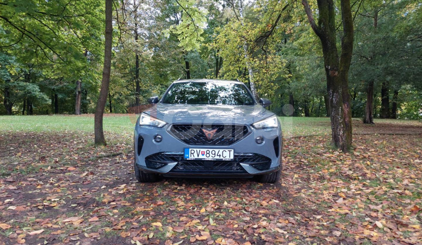 Cupra Formentor 2.0 TSI 190k 4Drive DSG