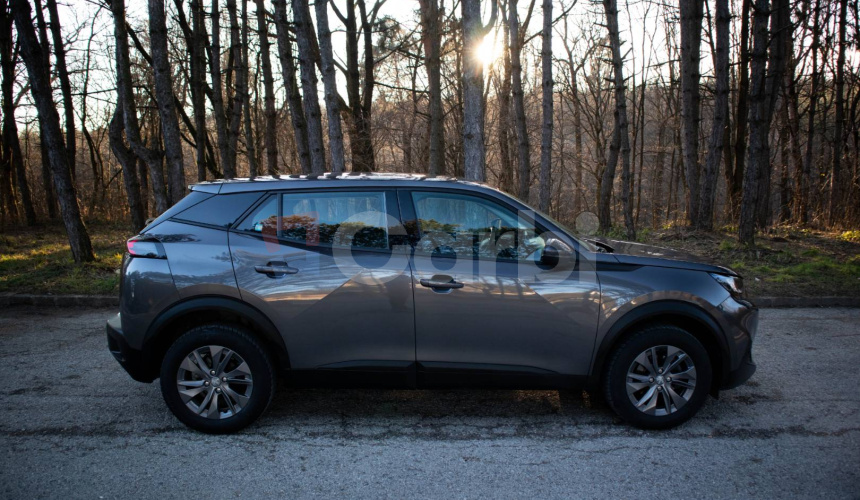 Peugeot 2008 1.5 BlueHDi 100 Active