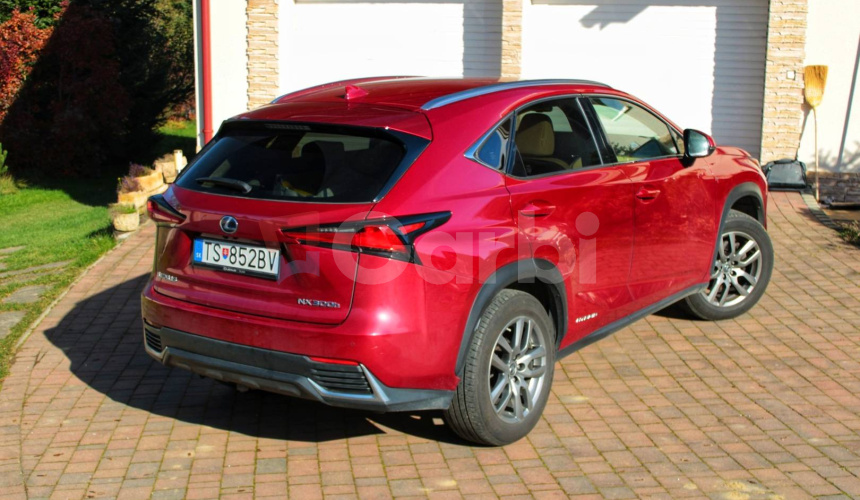 Lexus NX 300 Hybrid 2.5 114 kw 4x4