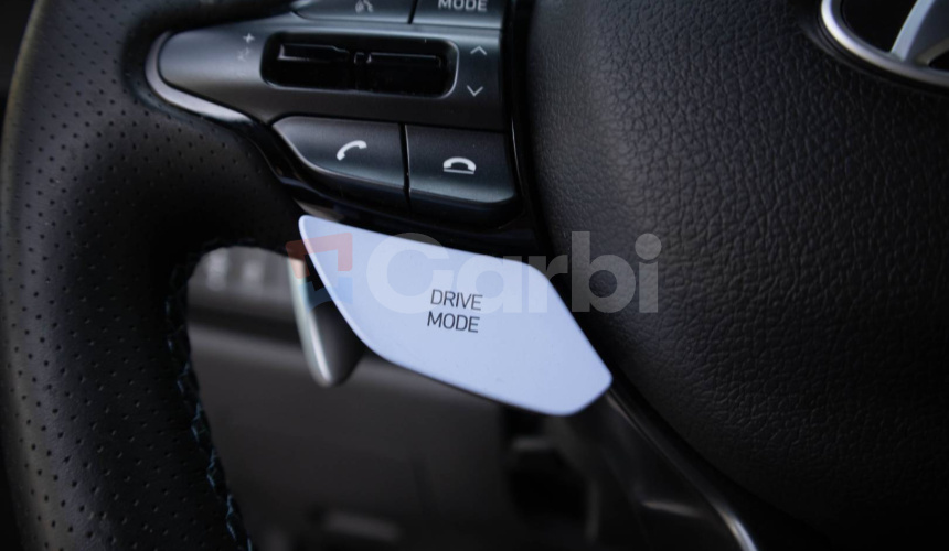 Hyundai i30 N 2.0 T-GDi N Performance A/T