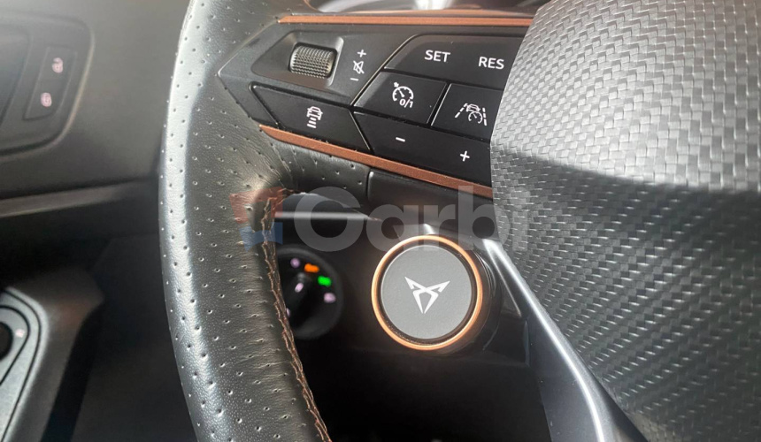 Cupra Ateca 2.0 TSI 300k 4Drive DSG