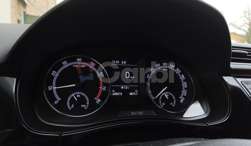 Škoda Fabia Combi Scout 1.0 TSI Style 2020