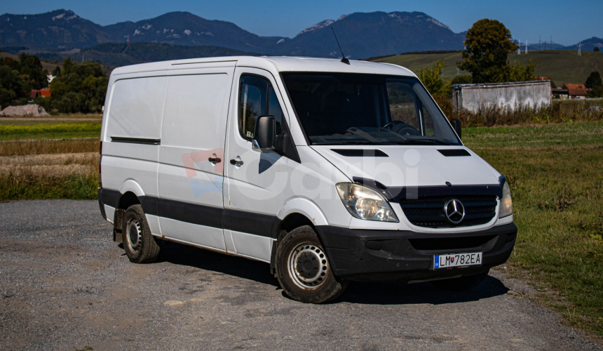 Mercedes-Benz 309 CDI