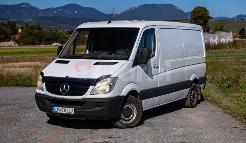 Mercedes-Benz 309 CDI