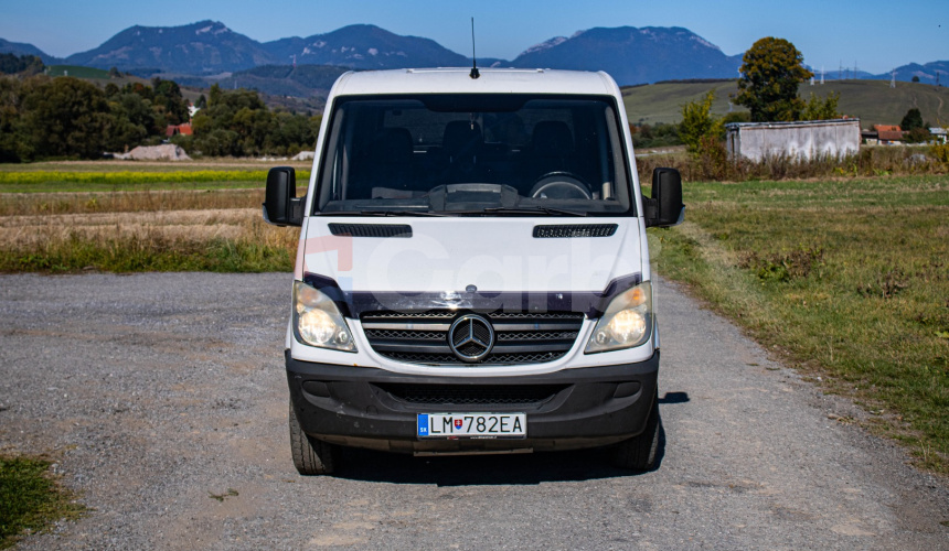 Mercedes-Benz 309 CDI