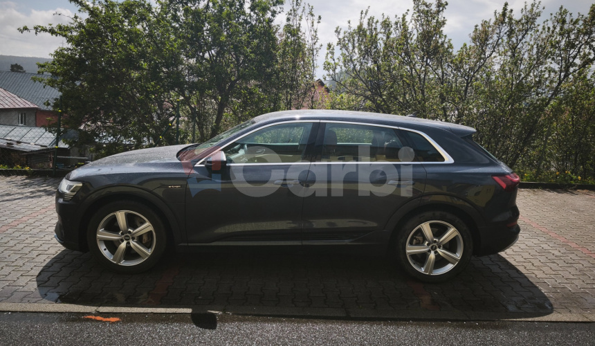 Audi e-tron e-tron 55