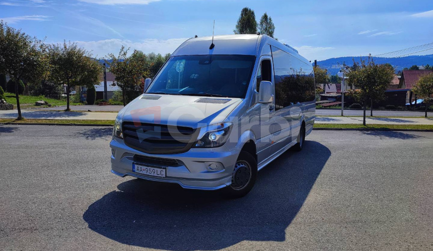 Mercedes Benz Sprinter City 45 LL