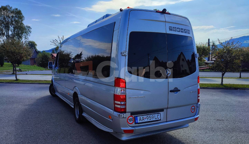 Mercedes Benz Sprinter City 45 LL