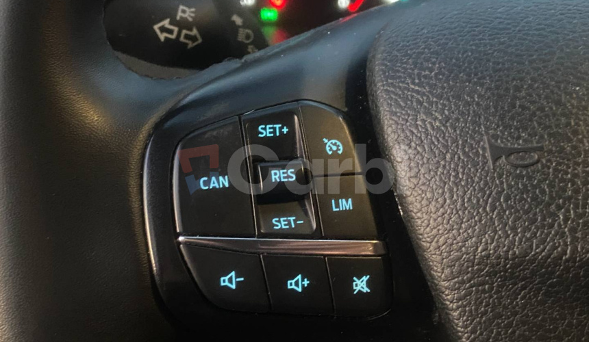 Ford Tourneo Custom 2.0 TDCi 170 Family L2 A/T