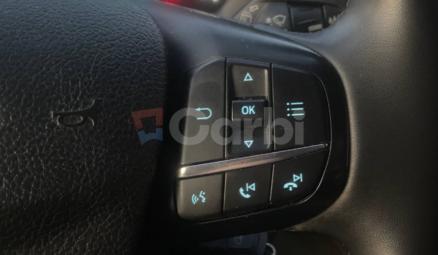Ford Tourneo Custom 2.0 TDCi 170 Family L2 A/T
