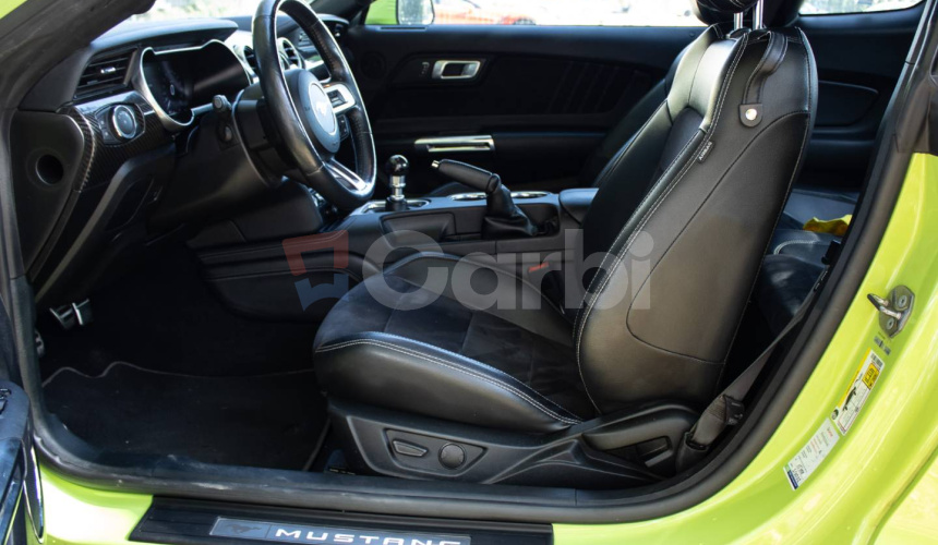 Ford Mustang GT FIFTY FIVE YEARS