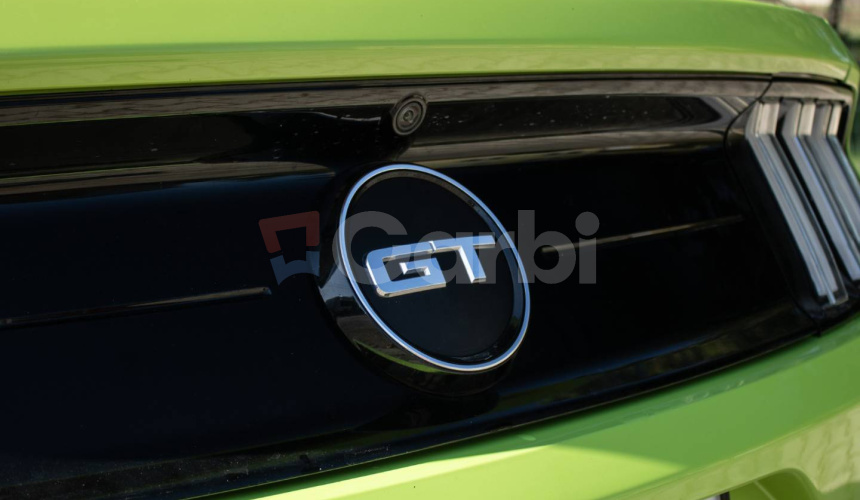 Ford Mustang GT FIFTY FIVE YEARS