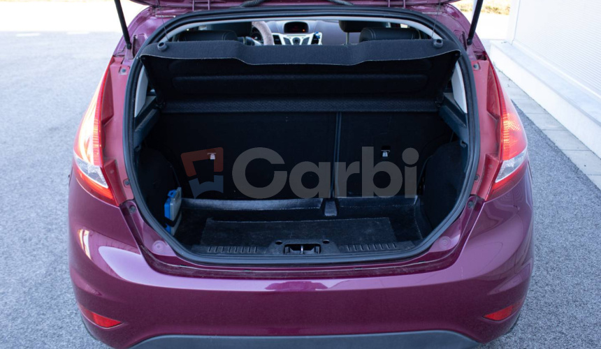 Ford Fiesta 1.4 TDCi DPF Titanium (EU5)