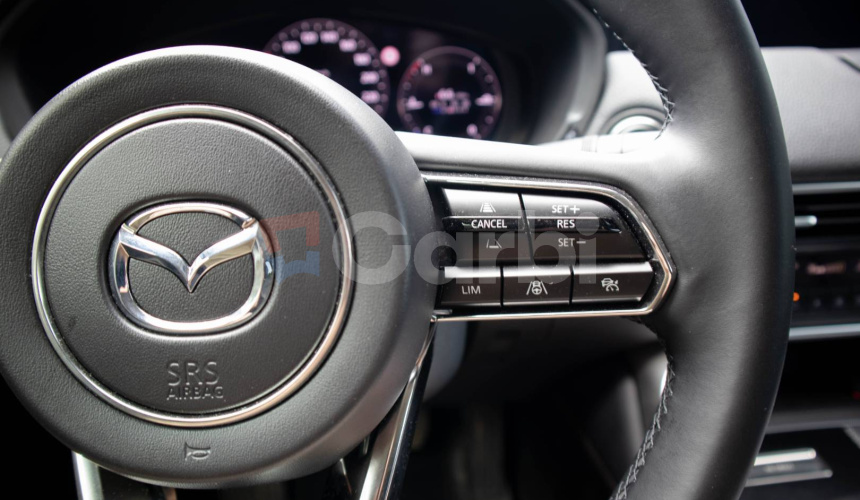 Mazda CX-60 3.3 e-Skyactiv D254 mHEV Homura AWD A/T