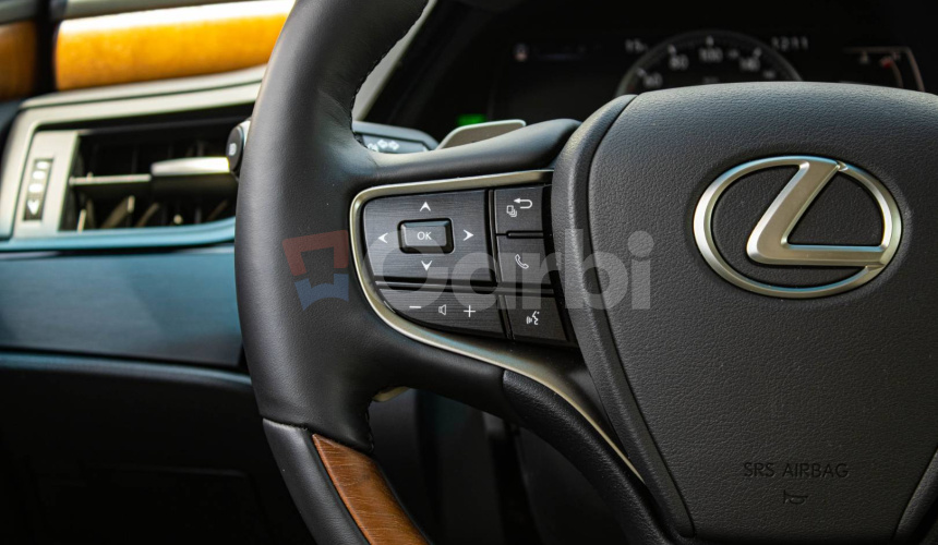 Lexus ES ES300H Prestige Top