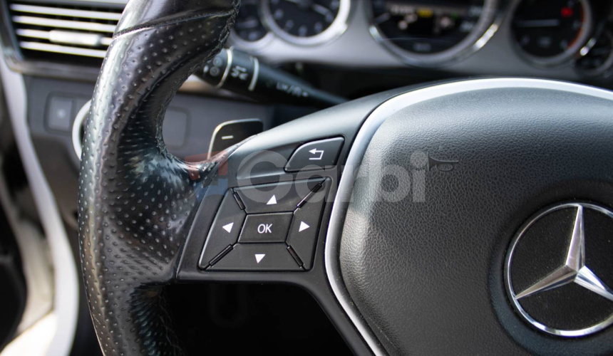 Mercedes-Benz E trieda Kombi 250 CDI Blue Avantgarde 7G