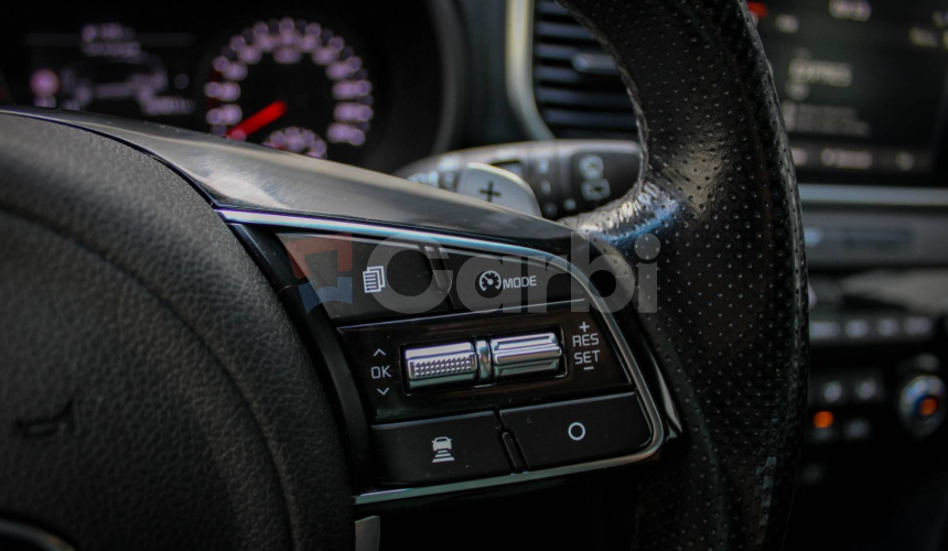 Kia Sportage 2.0 CRDi + 48V (Mild Hybrid) GT-Line A/T