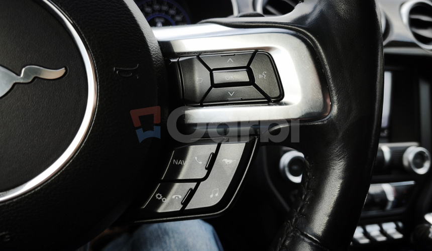 Ford Mustang 5.0 V8 330kW Fifty Years Edition