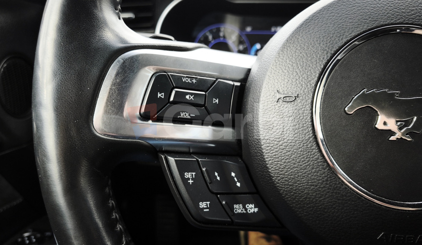 Ford Mustang 5.0 V8 330kW Fifty Years Edition