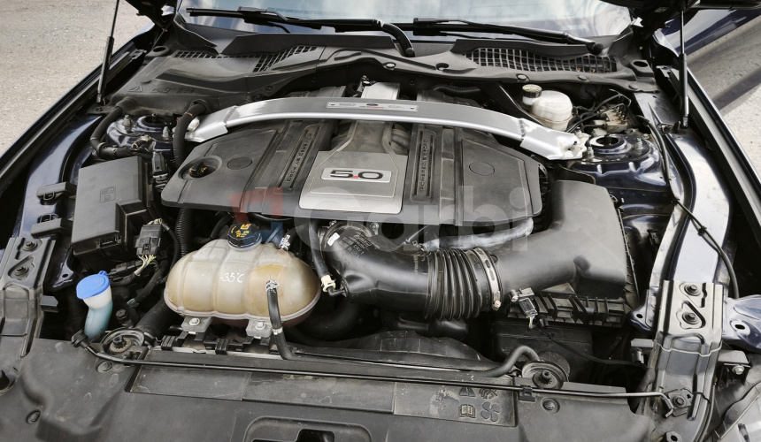 Ford Mustang 5.0 V8 330kW Fifty Years Edition