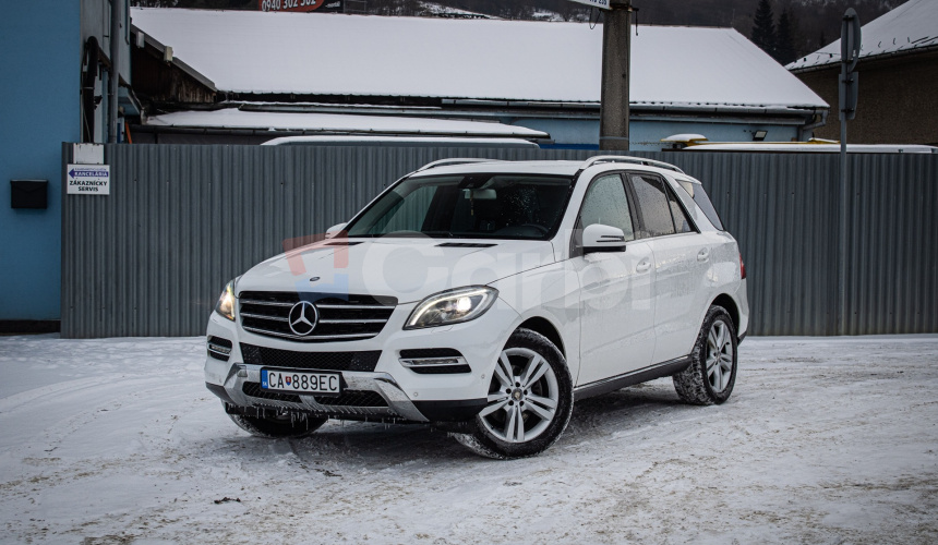 Mercedes Benz 250 BLUETEC 4MATIC, ILS, Navi, Bez vzduchu